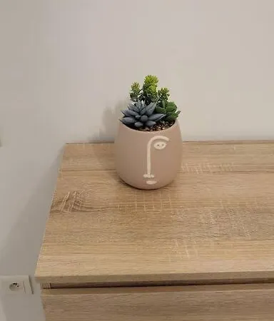 Appartement Chaleureux, Proche De La Gare